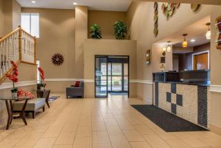 Quality Inn Bloomington Near University - Bloomington - 6