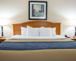 Quality Inn & Suites - 3