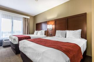 Comfort Suites Effingham - 4