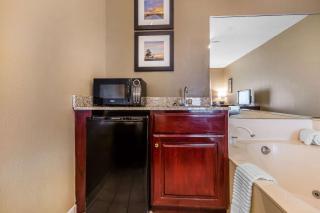 Comfort Inn & Suites Mishawaka-South Bend - 4