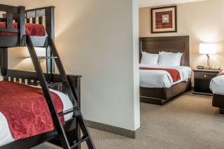 Comfort Suites South Bend Near Casino - South Bend - 3