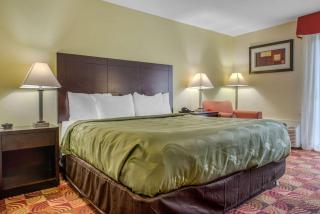 Quality Inn Bloomington Near University - Bloomington - 1