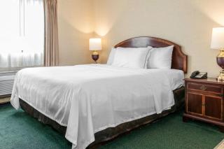 Days Inn and Suites by Wyndham Hammond, IN - Hammond - 8
