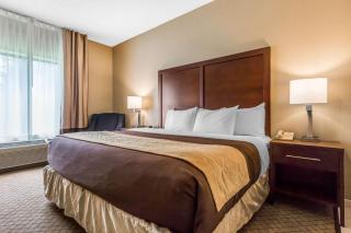 Comfort Inn & Suites Mishawaka-South Bend - South Bend - 1