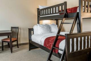 Comfort Suites South Bend Near Casino - 2