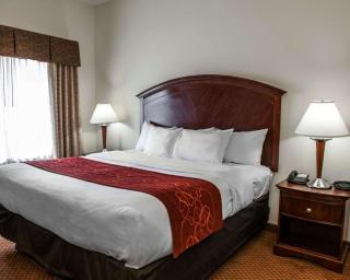 Comfort Suites near Indianapolis Airport - Indianápolis - 2