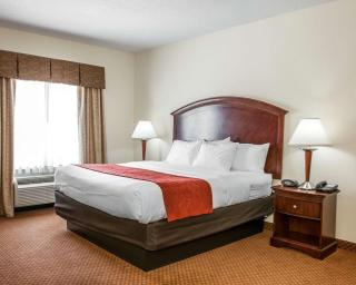 Comfort Suites near Indianapolis Airport - Indianápolis - 3