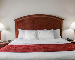 Comfort Suites near Indianapolis Airport - Indianápolis - 1