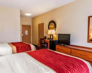 Comfort Inn Avon-Indianapolis West - Avon - 1