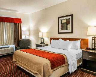 Comfort Inn Avon-Indianapolis West - Avon - 3