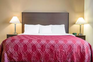 Quality Inn Noblesville-Indianapolis - Noblesville - 7