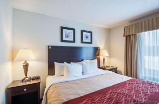 Comfort Inn & Suites Cambridge - Cambridge - 5