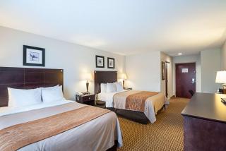 Comfort Inn & Suites Cambridge - Cambridge - 4