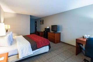 Quality Inn Solomons - Beacon Marina - Solomons - 1