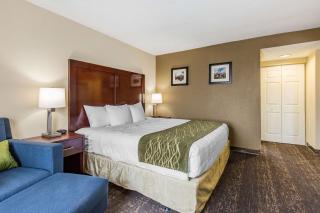 Comfort Inn College Park North - 1