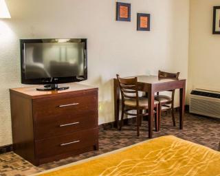 Comfort Inn Birch Run - Frankenmuth - 3