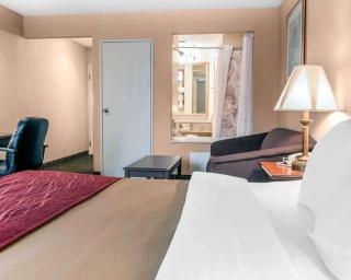 Comfort Inn - Livonia - 9