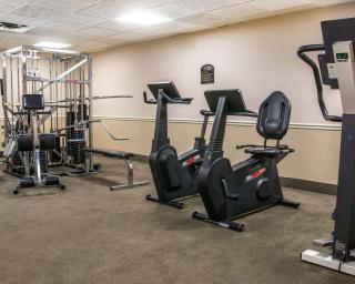 Comfort Inn - Livonia - 2