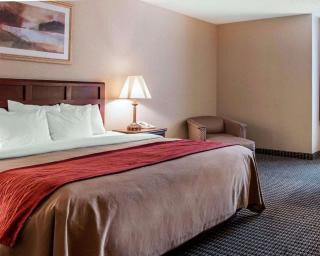 Comfort Inn - Livonia - 1