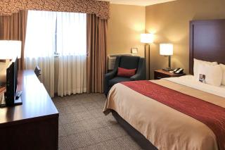 Comfort Inn - Farmington Hills - 7