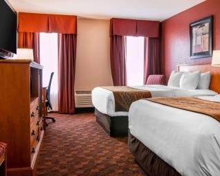 Comfort Inn & Suites and Conference Center - Mount Pleasant - 3