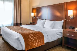 Comfort Suites Wixom - Novi - 1