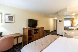 Clarion Hotel Detroit Metro Airport - Romulus - 1
