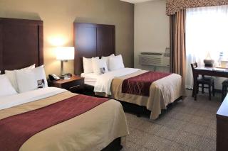 Comfort Inn - Farmington Hills - 4