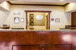 Comfort Suites Canton - Detroit - Canton - 7