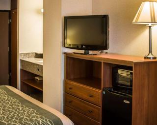 Comfort Inn & Suites Dimondale - Lansing - Dimondale - 9