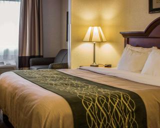 Comfort Inn & Suites Dimondale - Lansing - Dimondale - 8