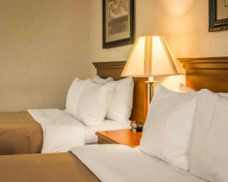 Comfort Inn & Suites Dimondale - Lansing - Dimondale - 7