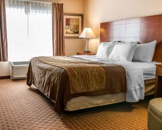 Quality Inn Near Interstate I94 - New Buffalo - 0