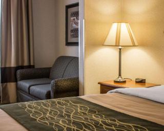 Comfort Inn & Suites Dimondale - Lansing - Dimondale - 6