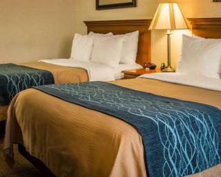 Comfort Inn & Suites Dimondale - Lansing - Dimondale - 5