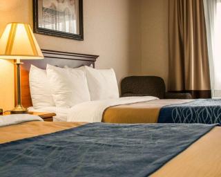 Comfort Inn & Suites Dimondale - Lansing - Dimondale - 4
