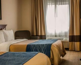 Comfort Inn & Suites Dimondale - Lansing - Dimondale - 3