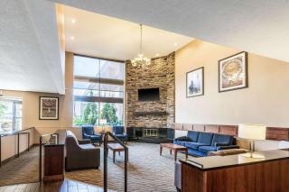 Comfort Inn - Lansing - 8