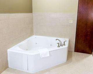 Comfort Suites - Marquette - 9