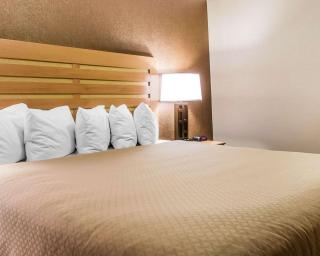 Quality Inn & Suites Warren - Detroit - Warren - 2