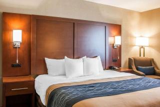 Comfort Inn - Fergus Falls - 4