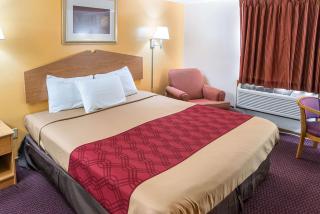 Rodeway Inn & Suites - Austin - 4