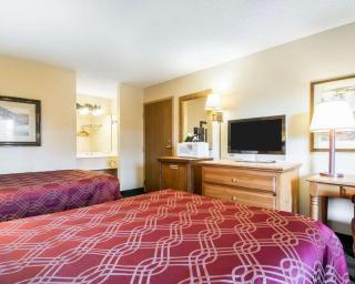 Econo Lodge Springfield I-44 - Springfield - 7