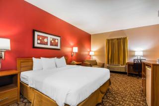 Quality Inn & Suites Chesterfield Village - Springfield - 4