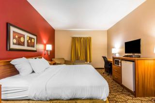 Quality Inn & Suites Chesterfield Village - Springfield - 2