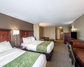 Comfort Suites Columbia - University Area - Columbia - 2