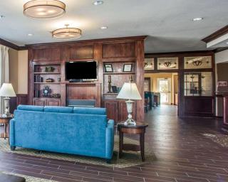 Comfort Suites Columbia - University Area - Columbia - 7