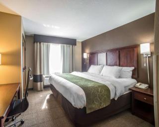 Comfort Suites Columbia - University Area - Columbia - 3