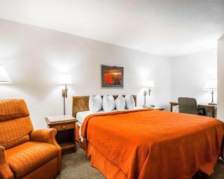Quality Inn & Suites North - Springfield - 7