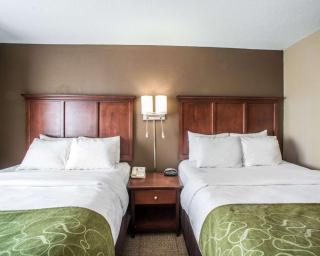 Comfort Suites Columbia - University Area - Columbia - 1